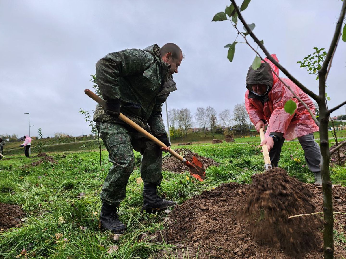 Можайск, можайский городской округ, подмосковье, яблоневый сад, яблони, деревья, акции, сво, военнослужащие, поддержка, память,