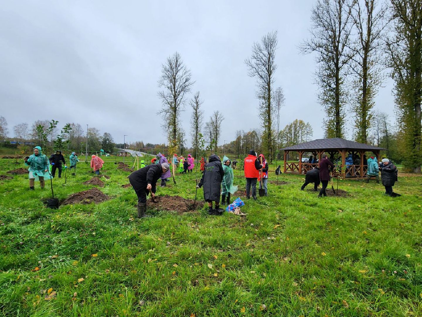 Можайск, можайский городской округ, подмосковье, яблоневый сад, яблони, деревья, акции, сво, военнослужащие, поддержка, память,