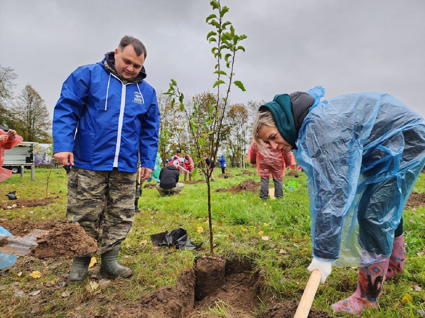 Можайск, можайский городской округ, подмосковье, яблоневый сад, яблони, деревья, акции, сво, военнослужащие, поддержка, память,