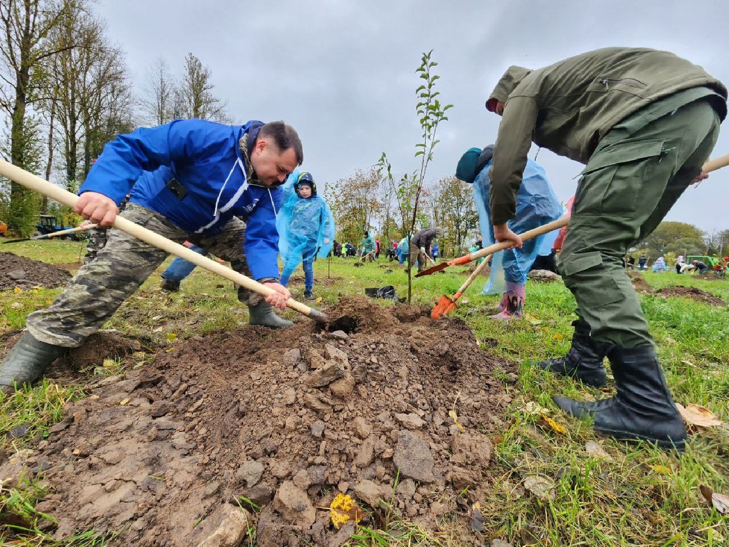 Можайск, можайский городской округ, подмосковье, яблоневый сад, яблони, деревья, акции, сво, военнослужащие, поддержка, память,