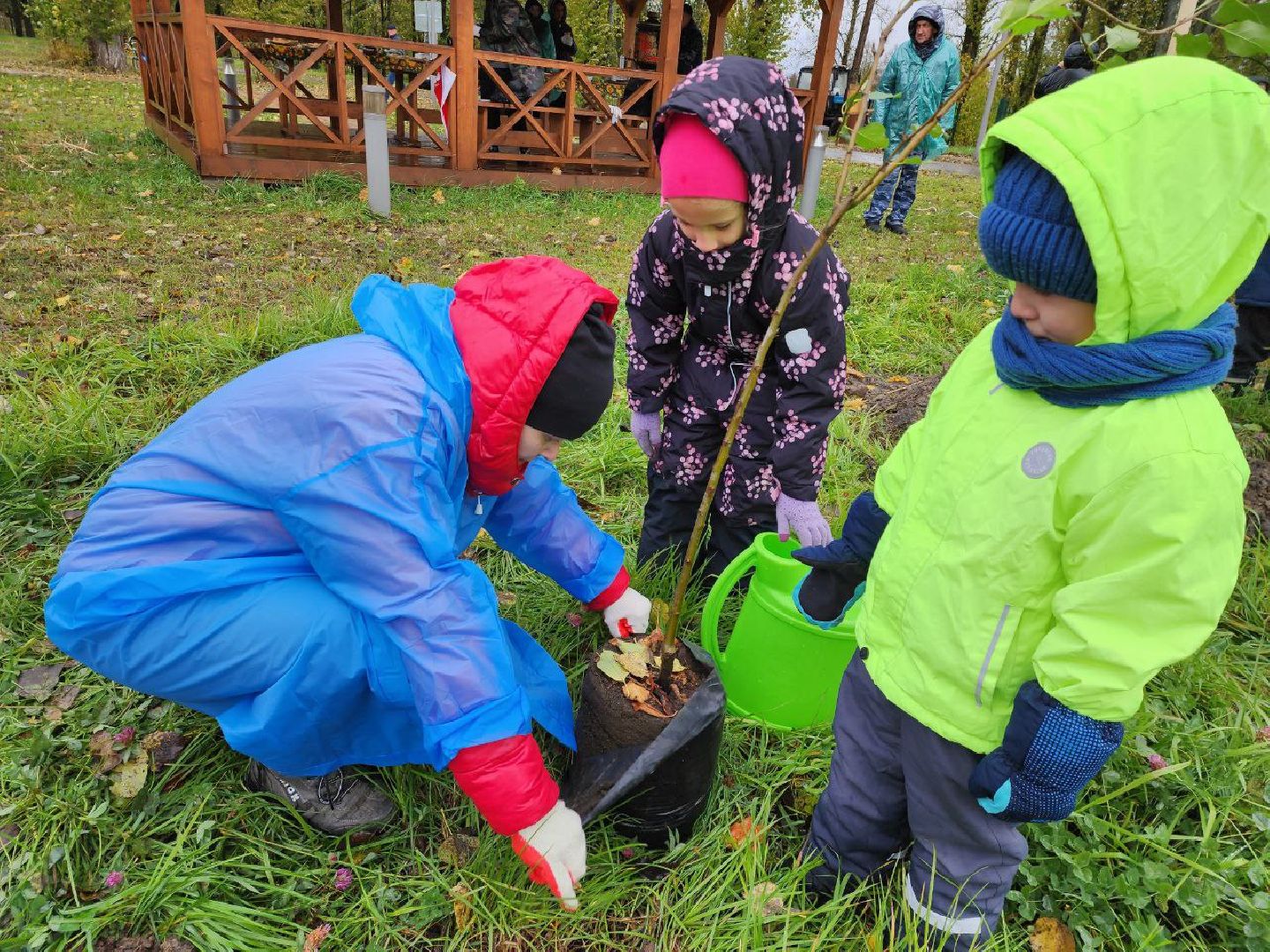 Можайск, можайский городской округ, подмосковье, яблоневый сад, яблони, деревья, акции, сво, военнослужащие, поддержка, память,