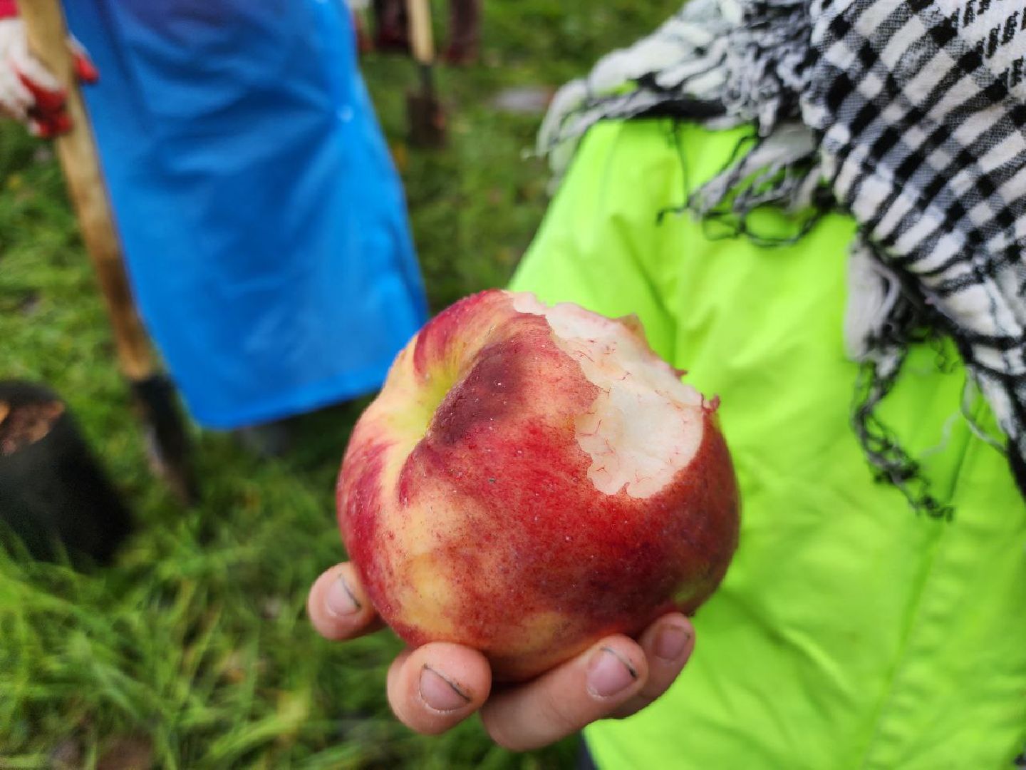Можайск, можайский городской округ, подмосковье, яблоневый сад, яблони, деревья, акции, сво, военнослужащие, поддержка, память,