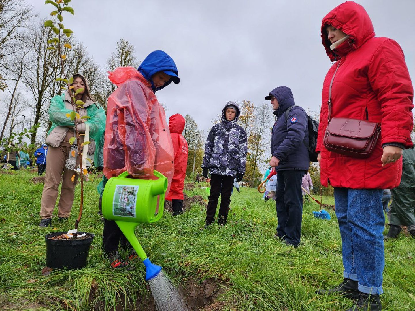 Можайск, можайский городской округ, подмосковье, яблоневый сад, яблони, деревья, акции, сво, военнослужащие, поддержка, память,