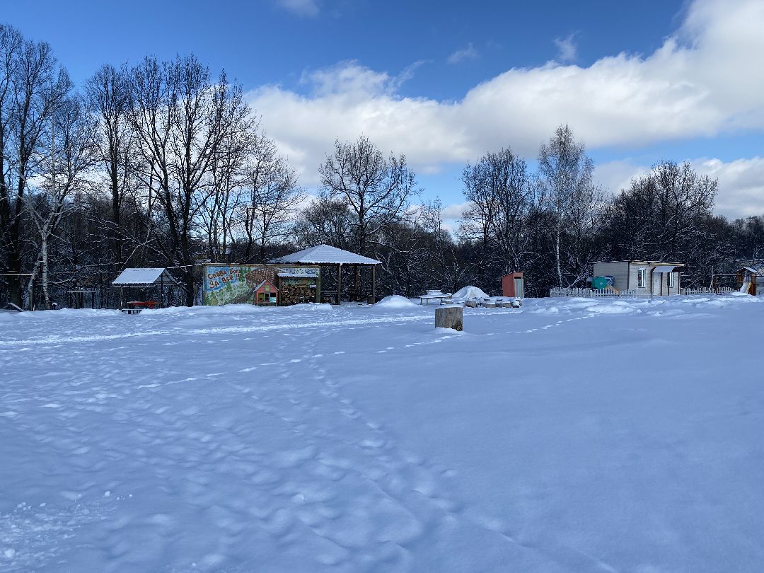 Ребенок, ДЦП, иппотерапия