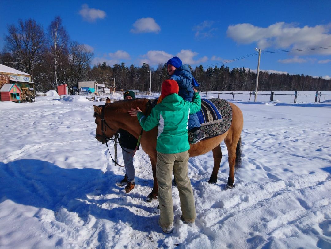 Ребенок, ДЦП, иппотерапия