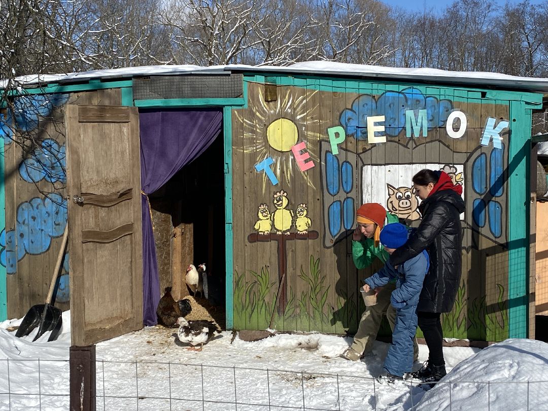 Ребенок, ДЦП, иппотерапия