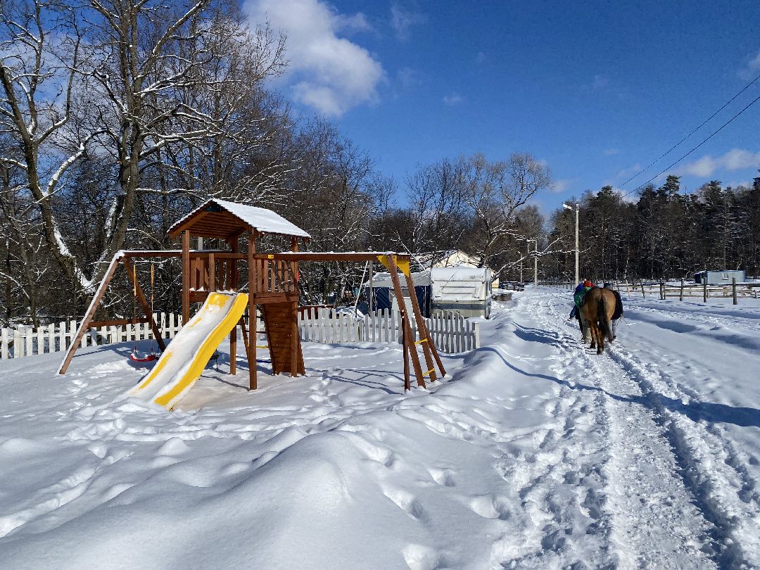 Ребенок, ДЦП, иппотерапия