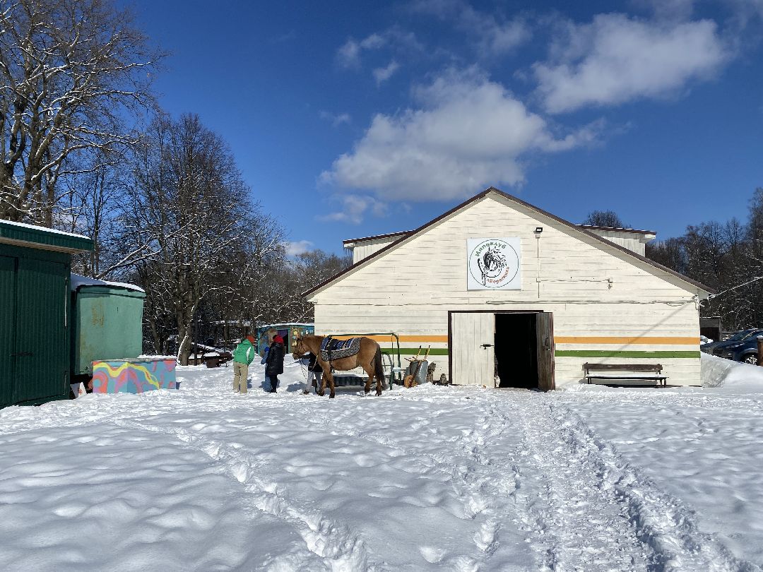 Ребенок, ДЦП, иппотерапия