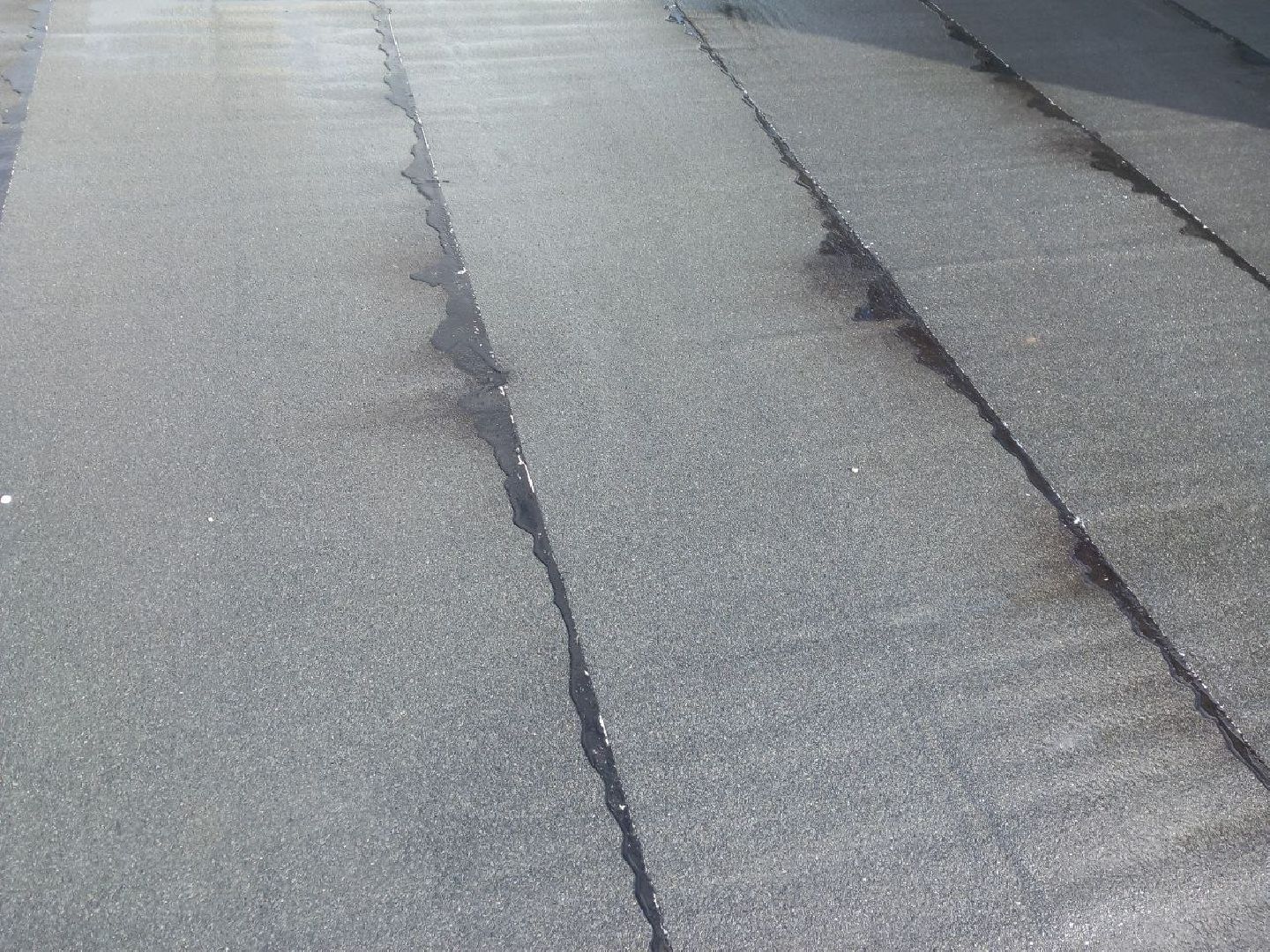 Реутов, ФОК, коплекс, спорт, бассейн,