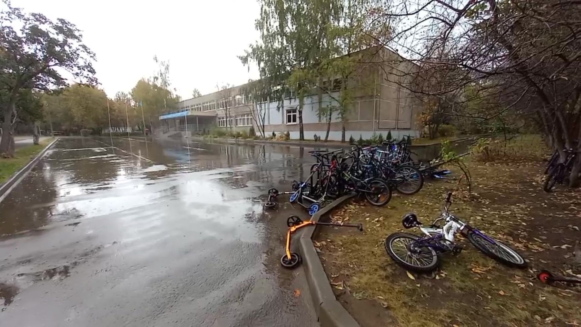 Реутов, образование, столовая, питание, оплата, карта,