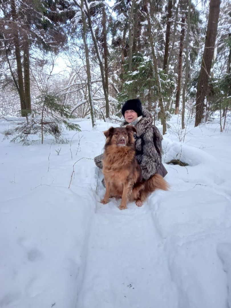 пушкино, учитель, математика, день учителя,