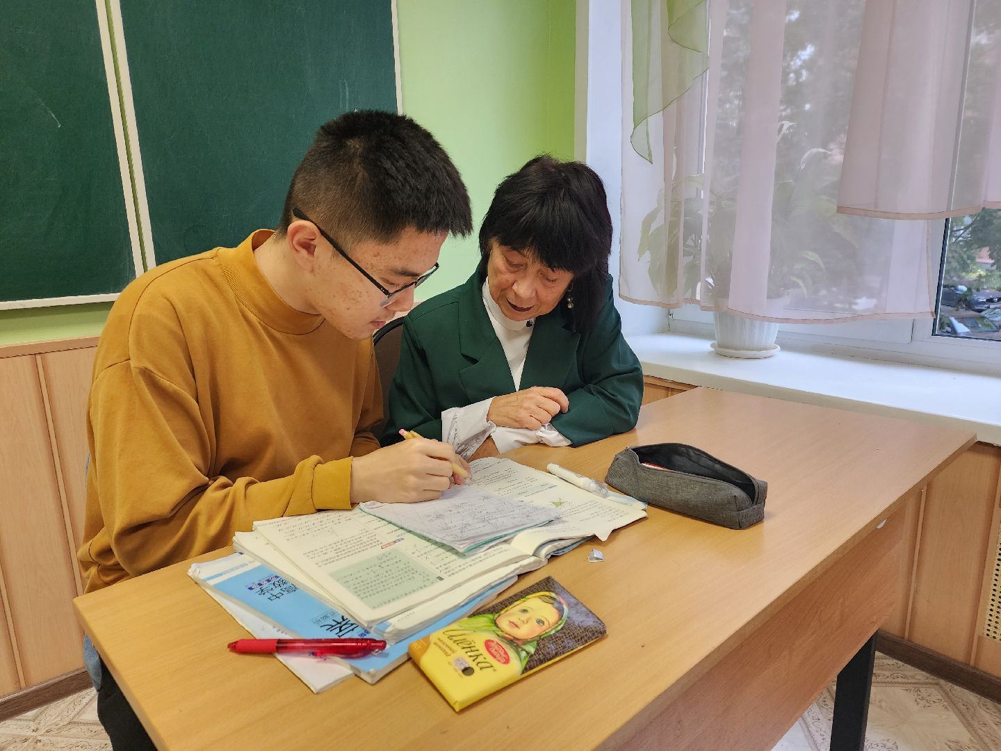 пушкино, учитель, математика, день учителя,