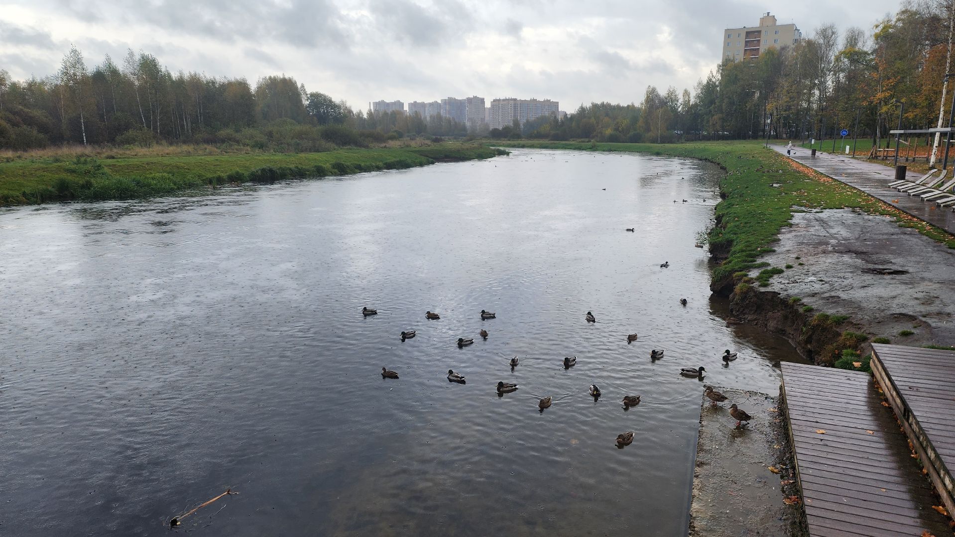 Подмосковье, городской округ пушкинский, Ивантеевка, парки подмосковья, благоустройство,