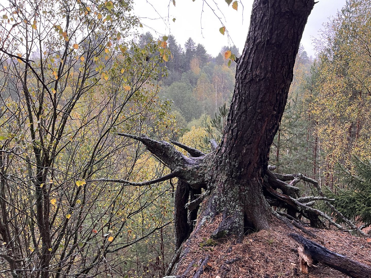шаховская, мертвое озеро, легенда, байки, Страшилки,