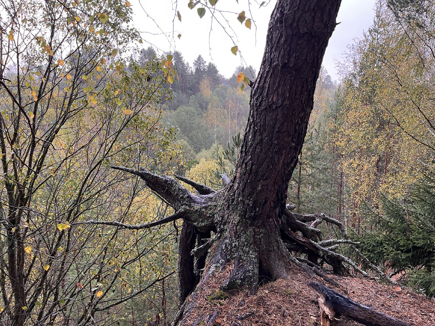 шаховская, мертвое озеро, легенда, байки, Страшилки,