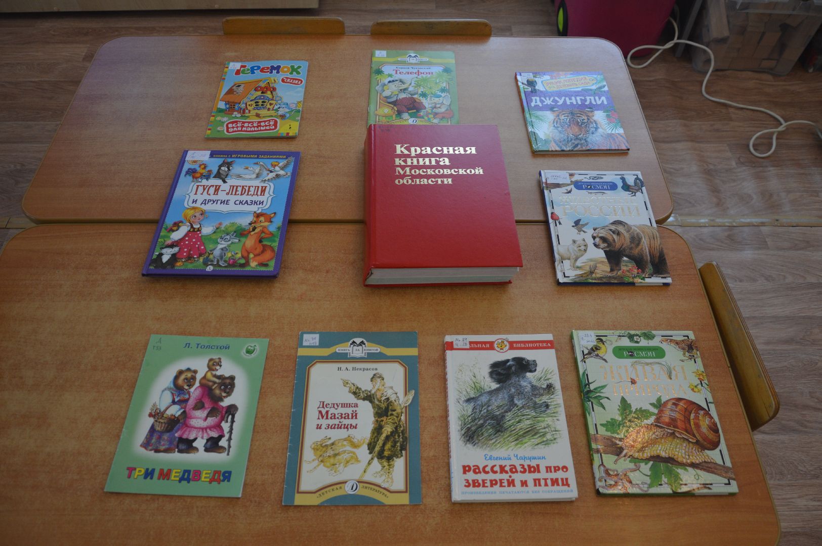 шатура, левошево, петровское, детский сад, красная книга, утренник,