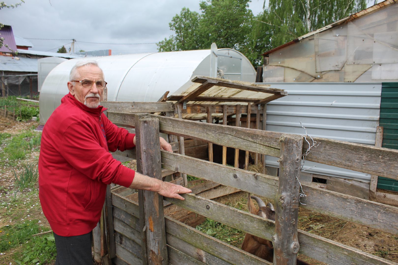 волоколамск, ярополец, пенсионеры, спорт, спортивная гимнастика, йога, питание, здоровая еда, здоровый образ жизни,
