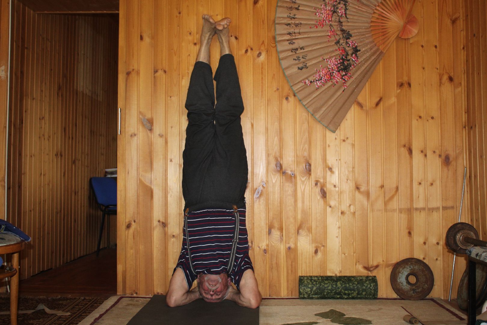 волоколамск, ярополец, пенсионеры, спорт, спортивная гимнастика, йога, питание, здоровая еда, здоровый образ жизни,