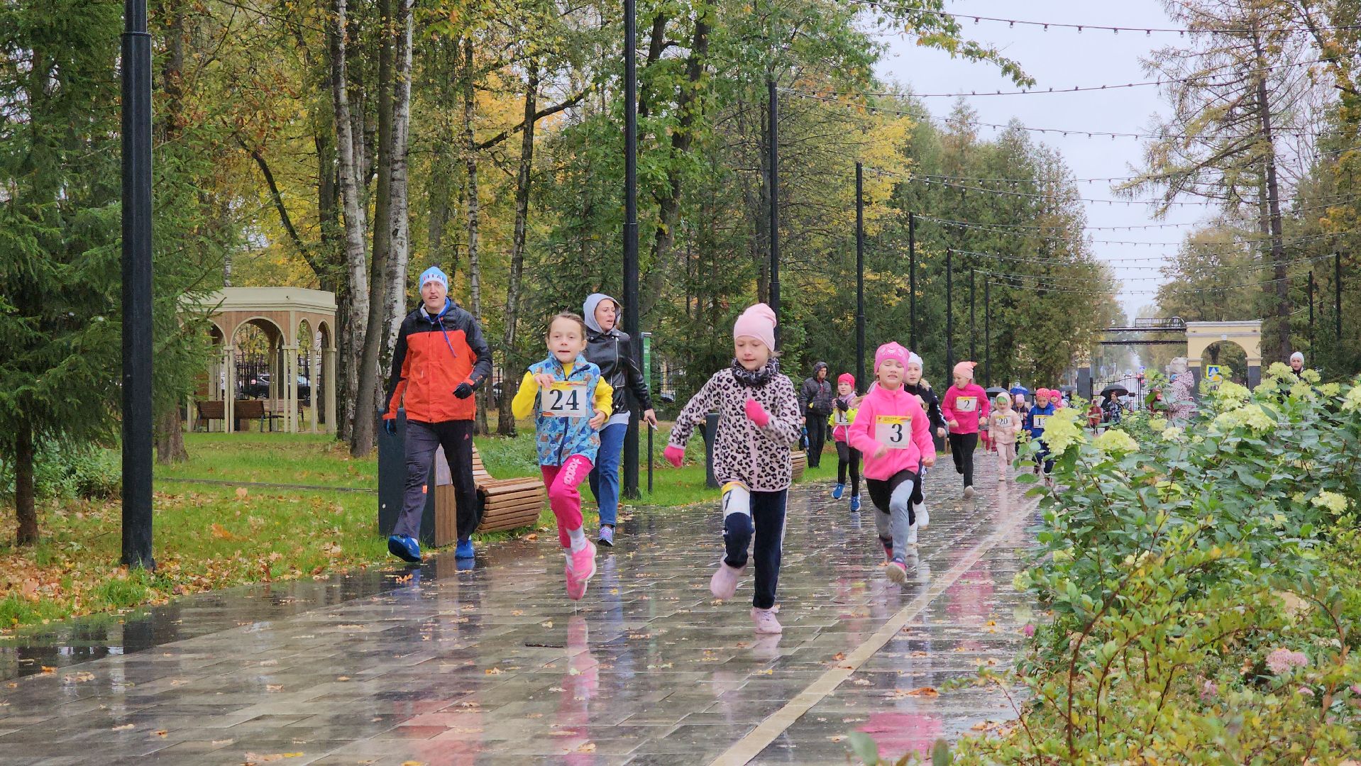 Ступино, парки подмосковья, осенний кросс,