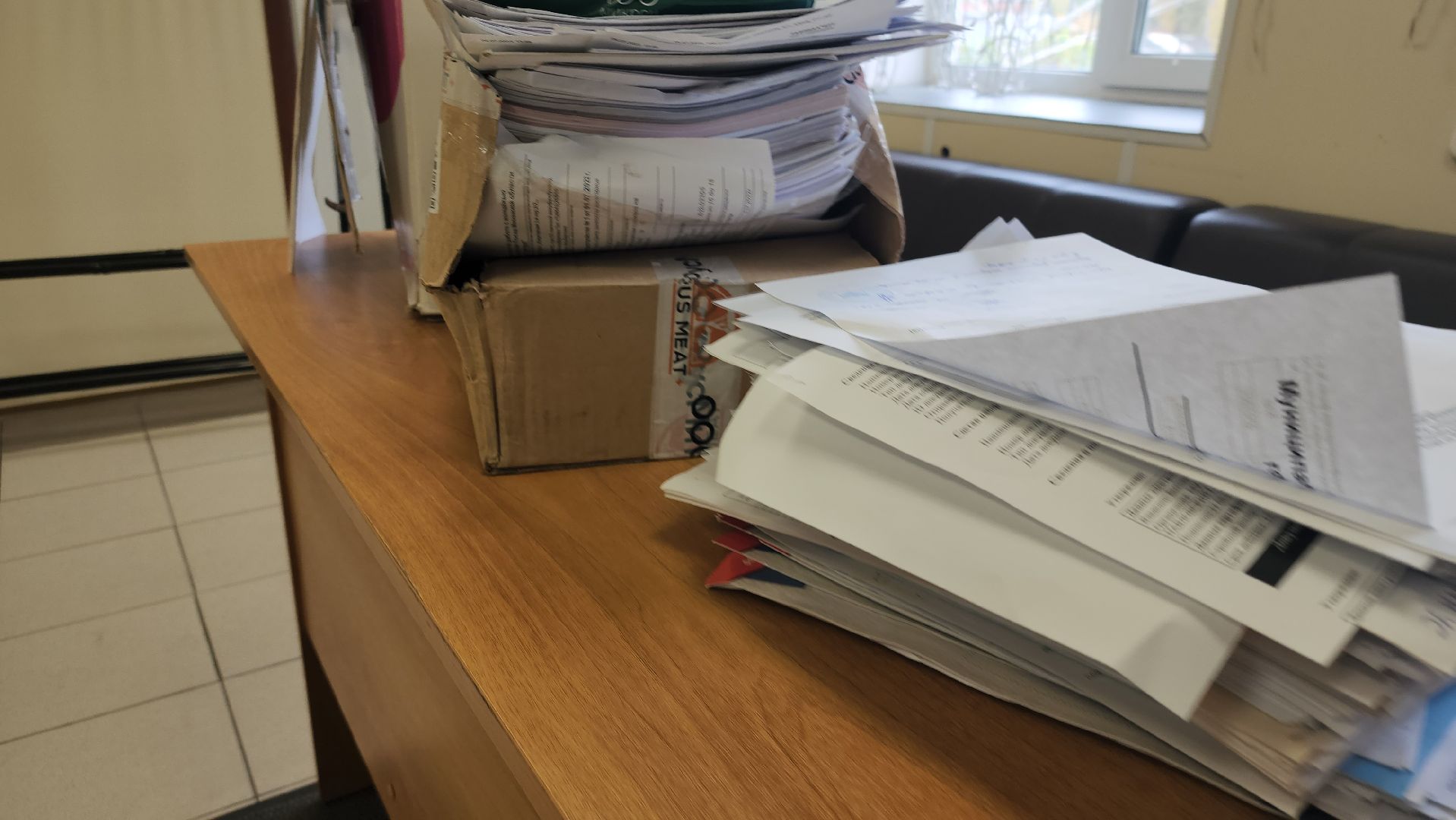 Павловский Посад, городской округ павловский посад, Люди, Деревья, Экология, Волонтры, Акция, Сбор,