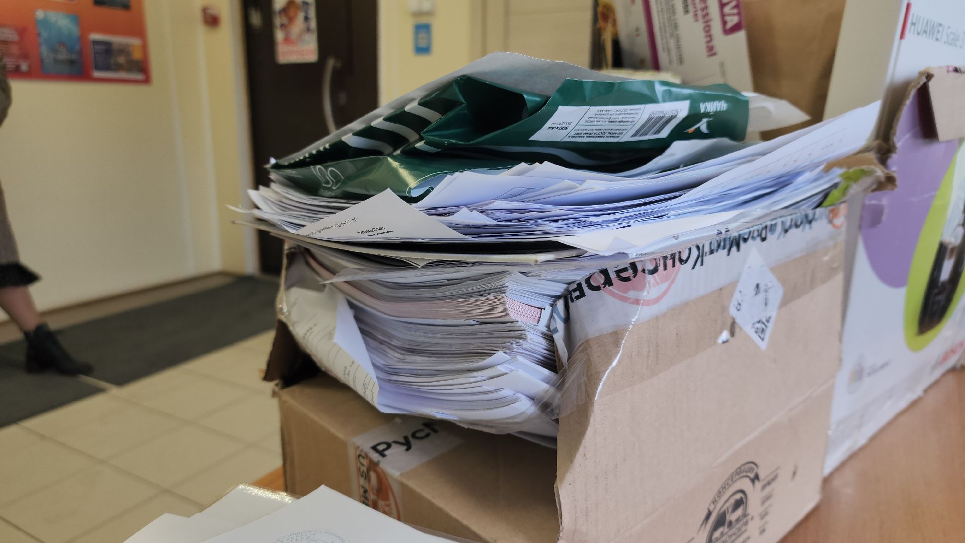 Павловский Посад, городской округ павловский посад, Люди, Деревья, Экология, Волонтры, Акция, Сбор,