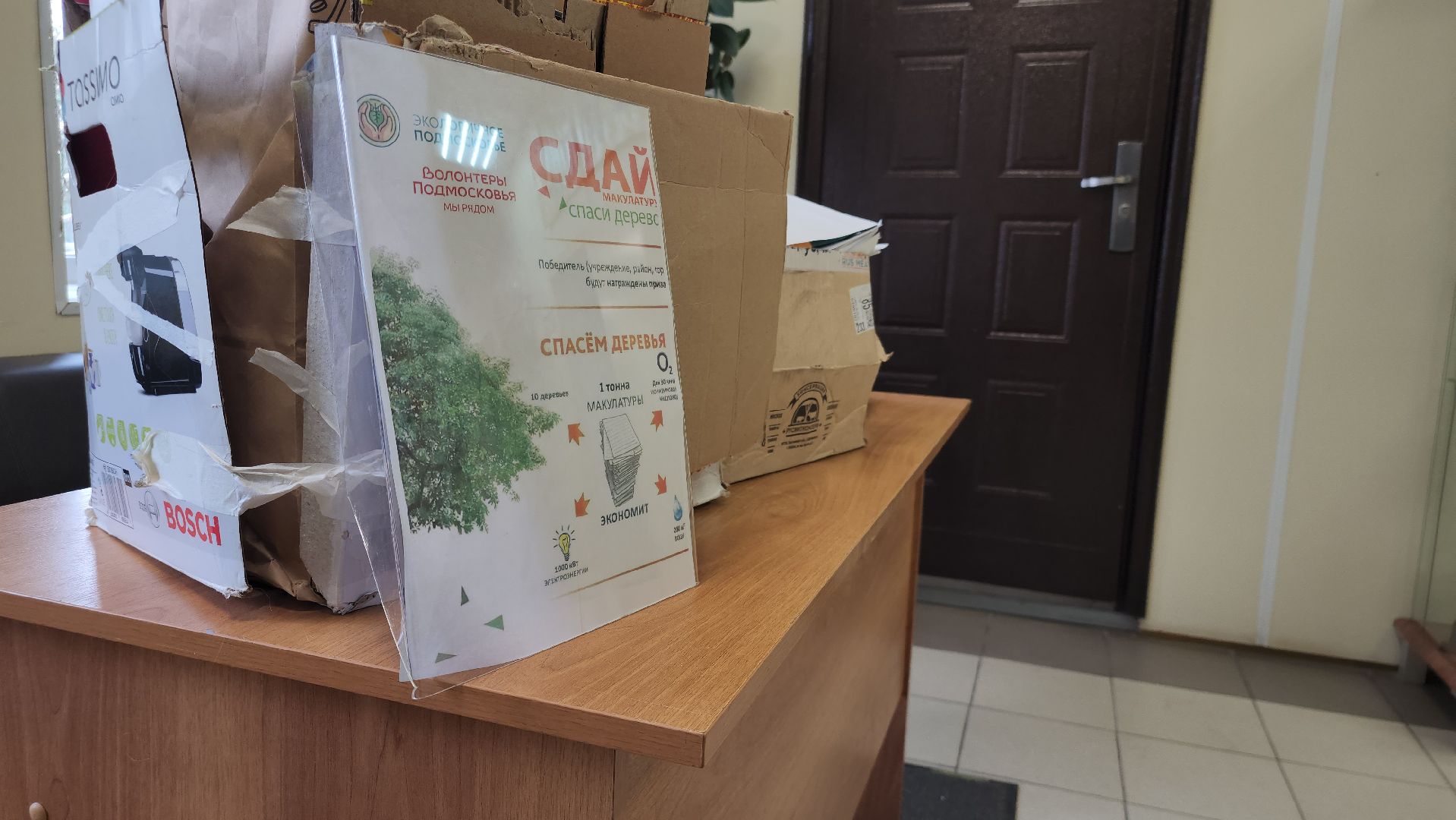 Павловский Посад, городской округ павловский посад, Люди, Деревья, Экология, Волонтры, Акция, Сбор,