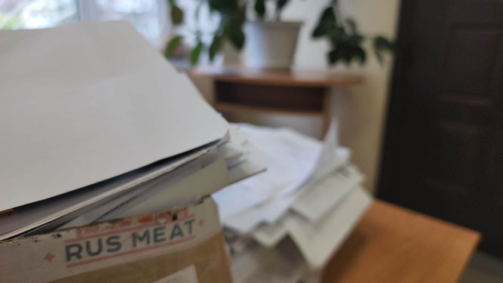 Павловский Посад, городской округ павловский посад, Люди, Деревья, Экология, Волонтры, Акция, Сбор,