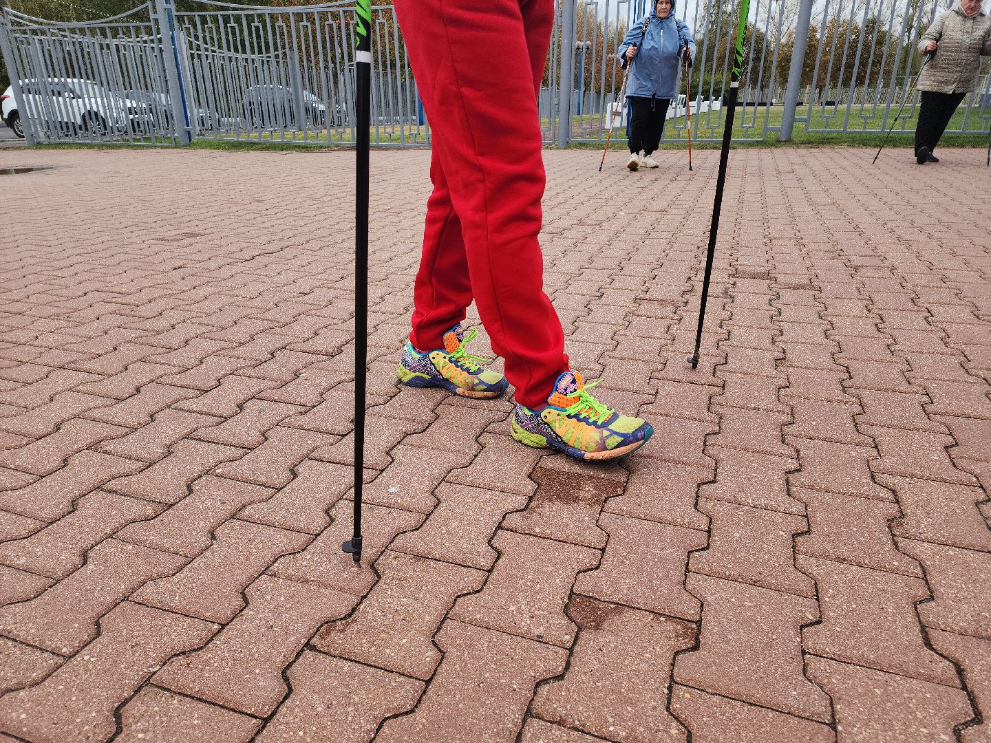 кашира, северная ходьба, активное долголетие, Николай Калякин, лыжные гонки, тренер,