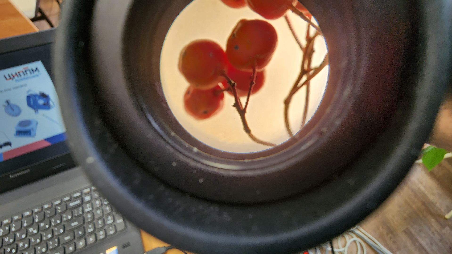 подольск, климовск, лицей,