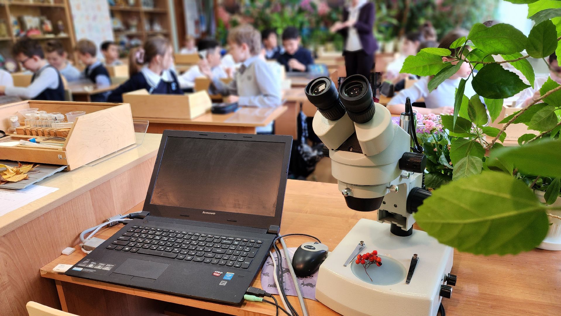 подольск, климовск, лицей,