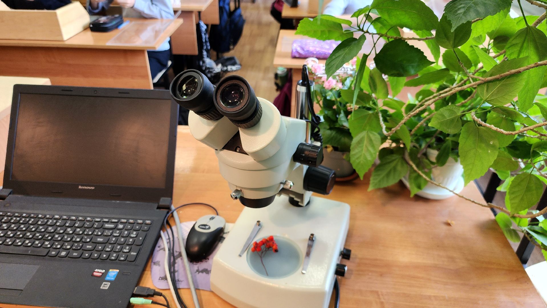 подольск, климовск, лицей,