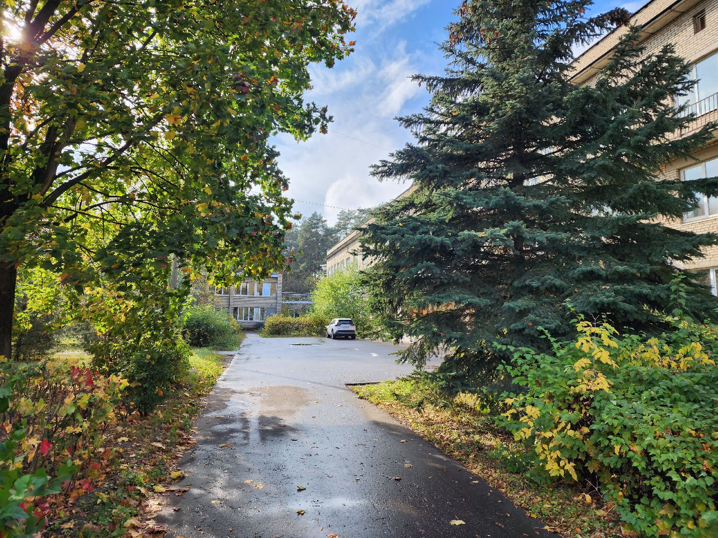 грипп, вакцинация, првивка, Жуковская ОКБ, Семенов,