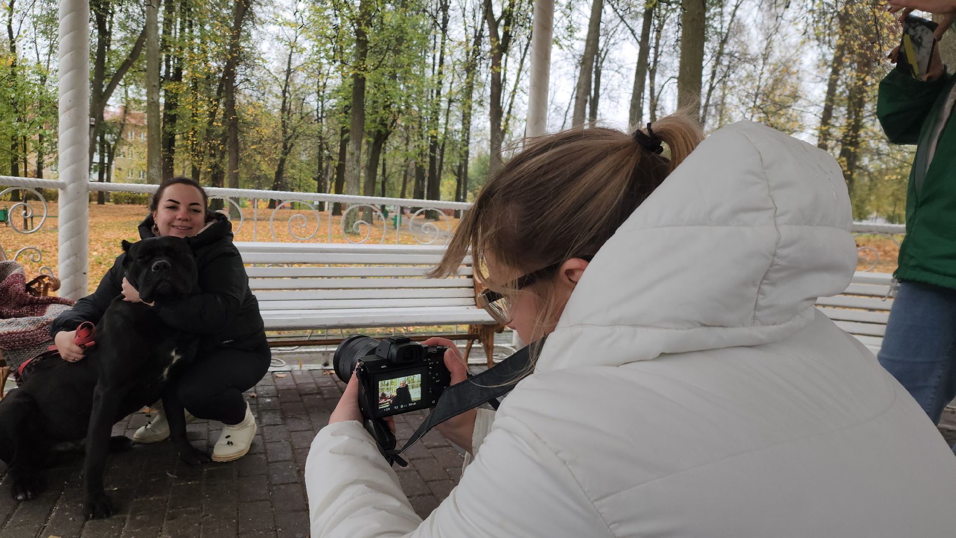 павловский посад, городской округ павловский посад, спецоперация, люди, собаки, приют, благотворительность,