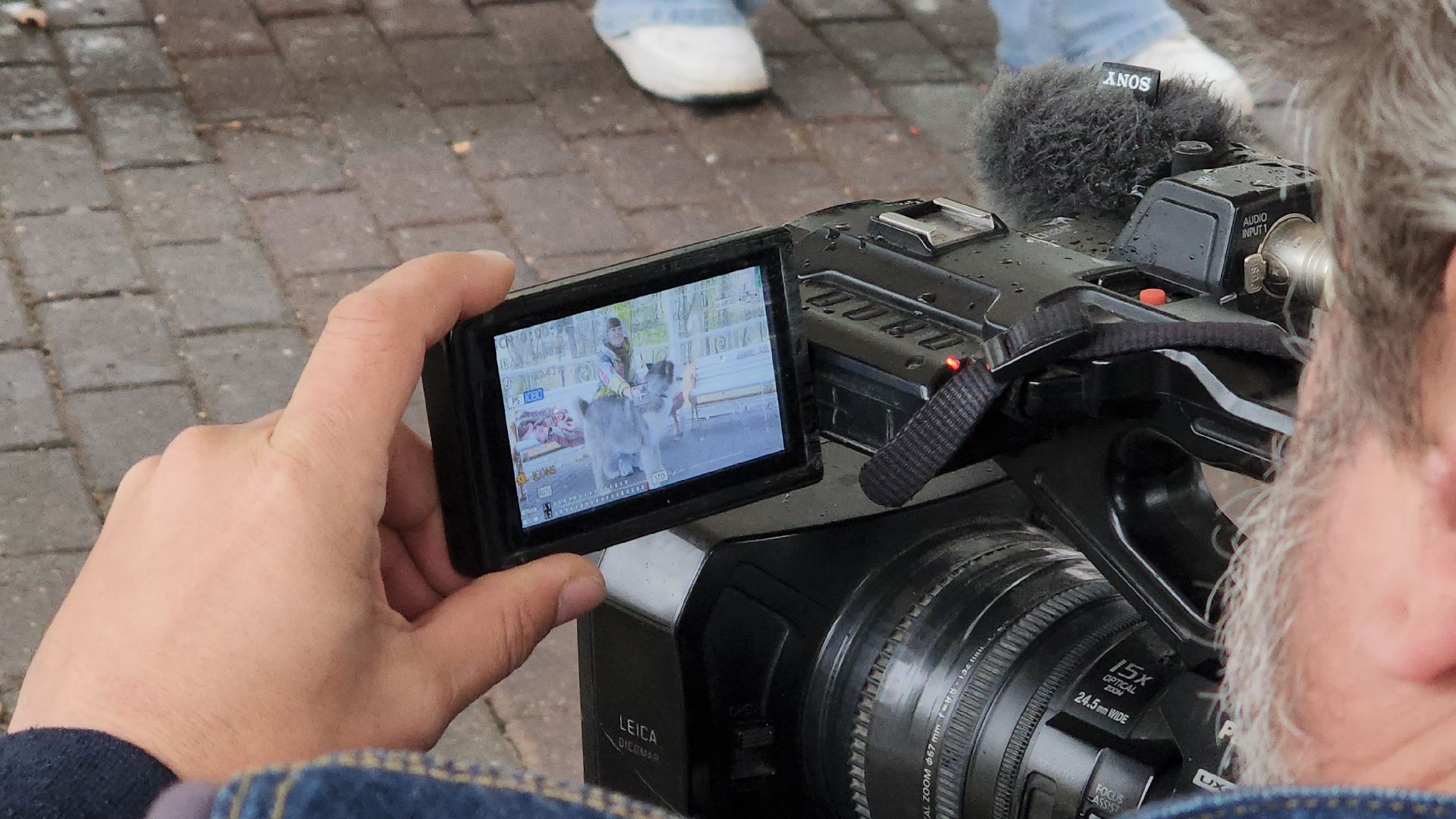 павловский посад, городской округ павловский посад, спецоперация, люди, собаки, приют, благотворительность,