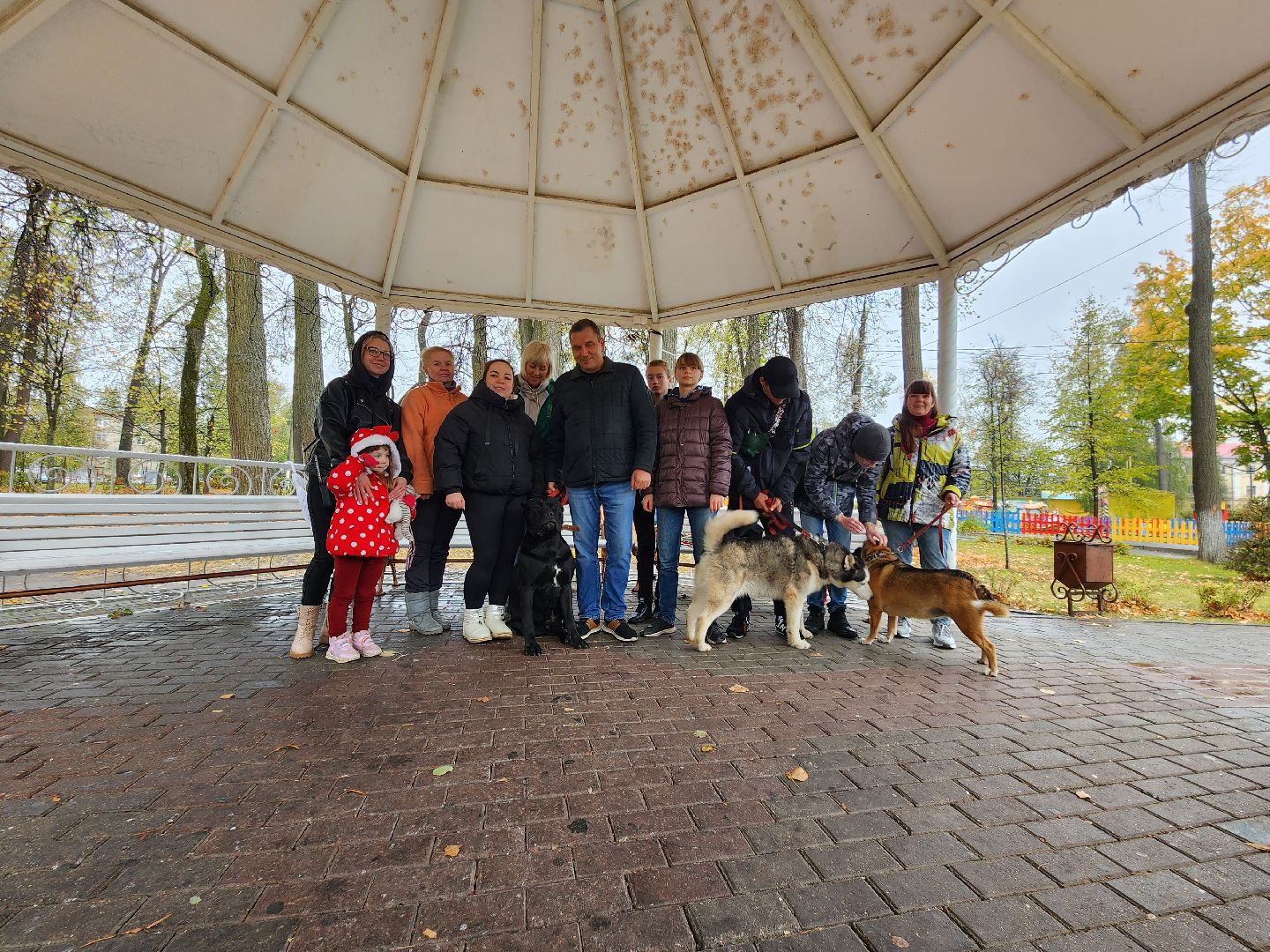 павловский посад, городской округ павловский посад, спецоперация, люди, собаки, приют, благотворительность,