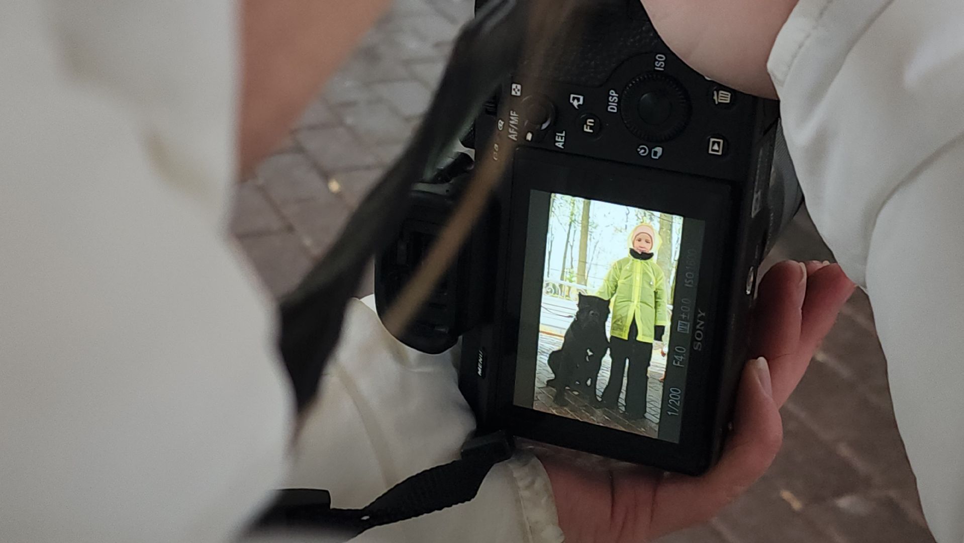 павловский посад, городской округ павловский посад, спецоперация, люди, собаки, приют, благотворительность,