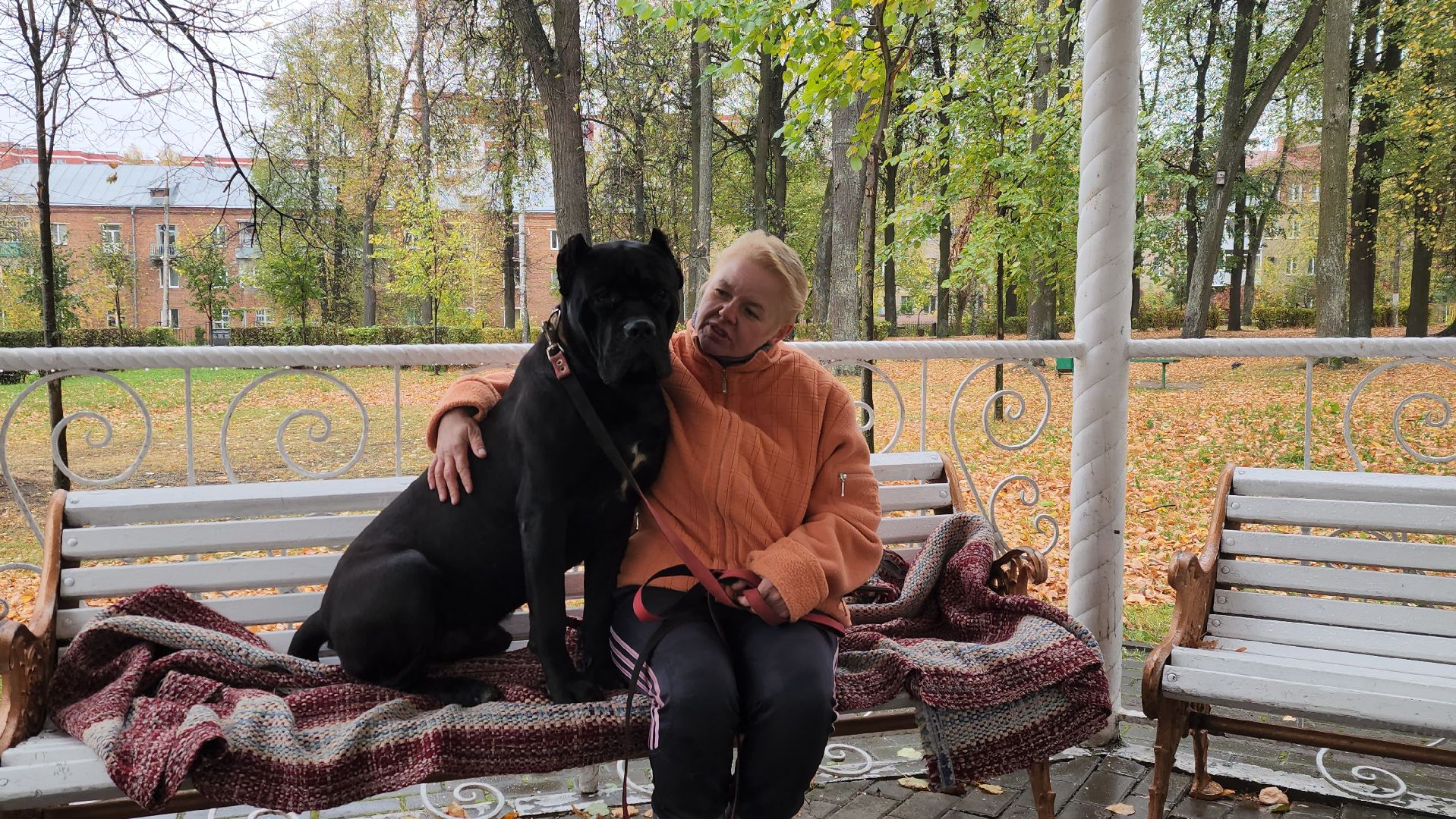 павловский посад, городской округ павловский посад, спецоперация, люди, собаки, приют, благотворительность,