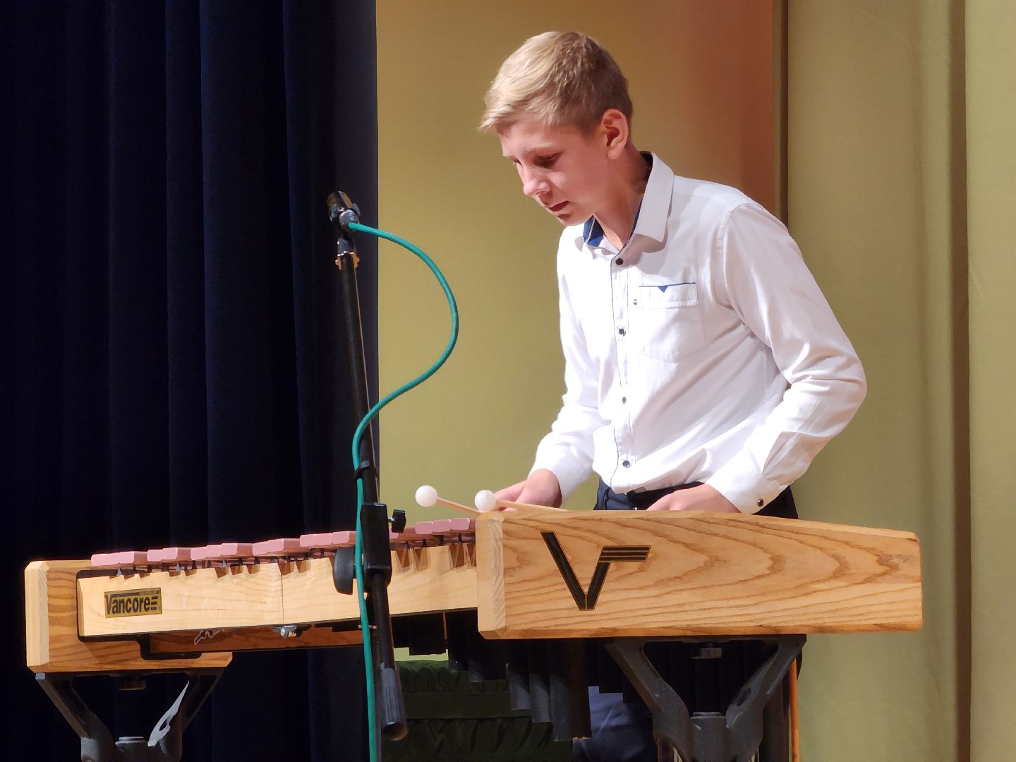 пушкино, концерт, детская школа искусств, музыка,