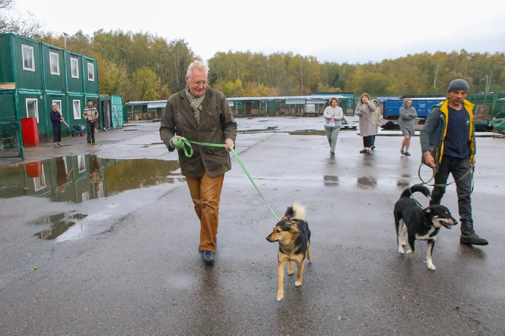 химки, бездомные животные, мгер, приют для животных,