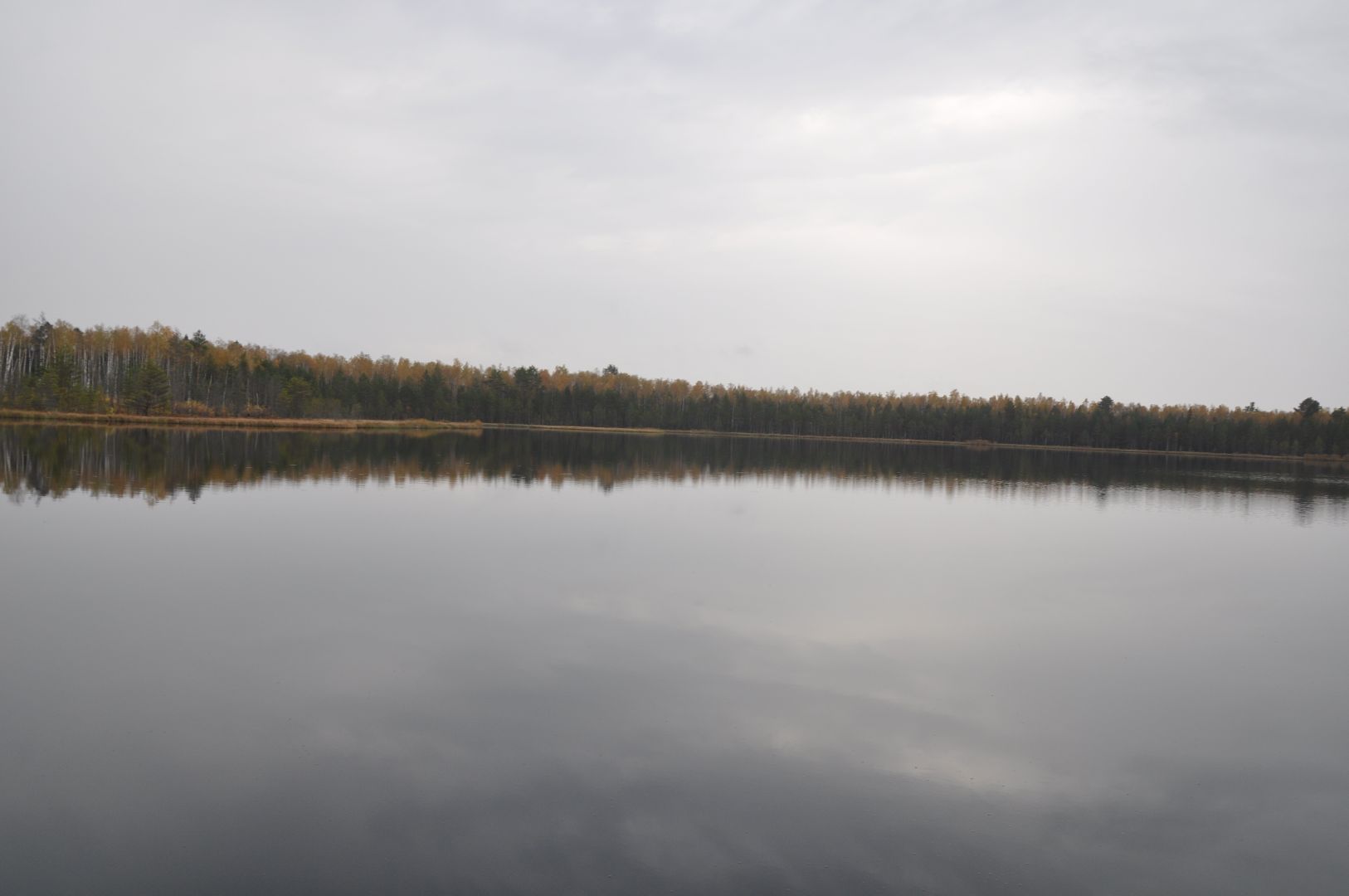 волоколамск, шитьково, болота, озеро, торфянники, легенды, миф, сказки, лес, лесное озеро,