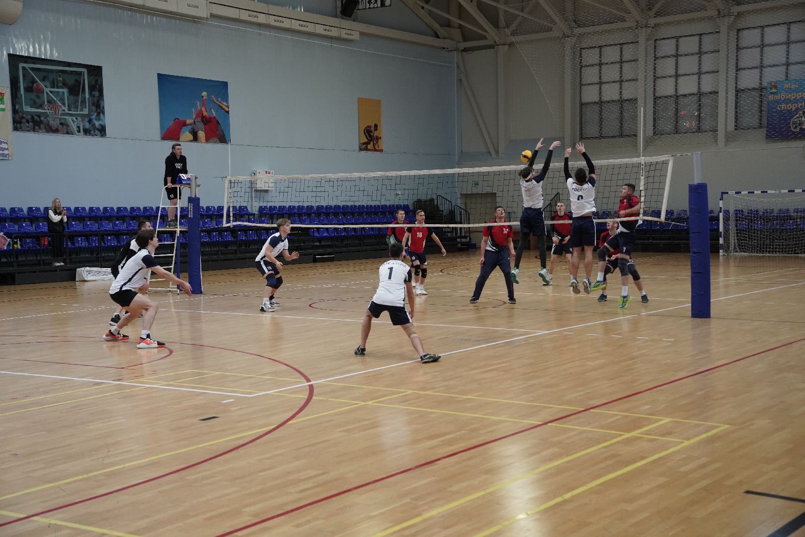 Рошаль, волейбол, турнир, спорт,