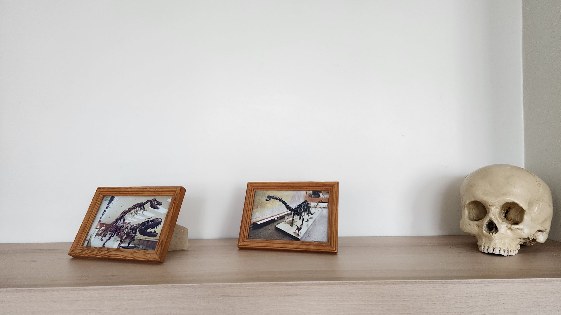 точка роста, образование, обучение, Старая Купавна, Богородский городской округ,