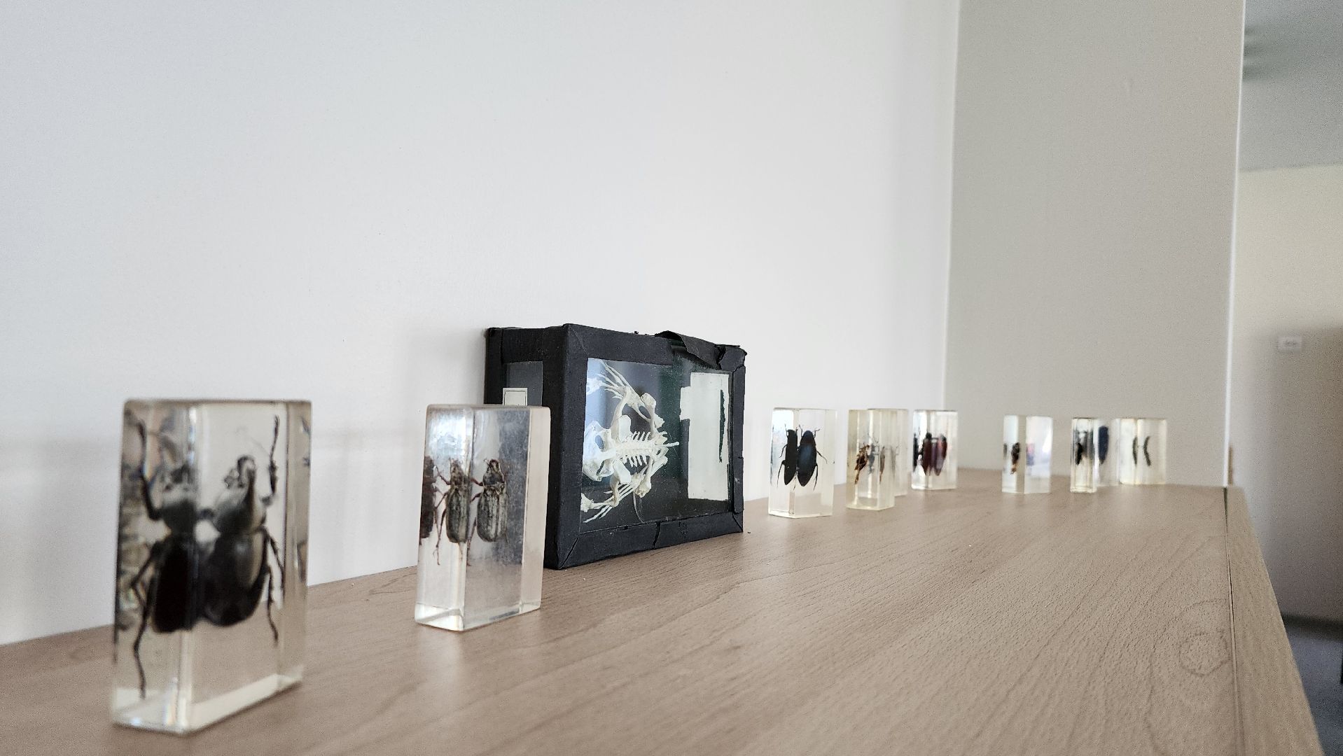 точка роста, образование, обучение, Старая Купавна, Богородский городской округ,