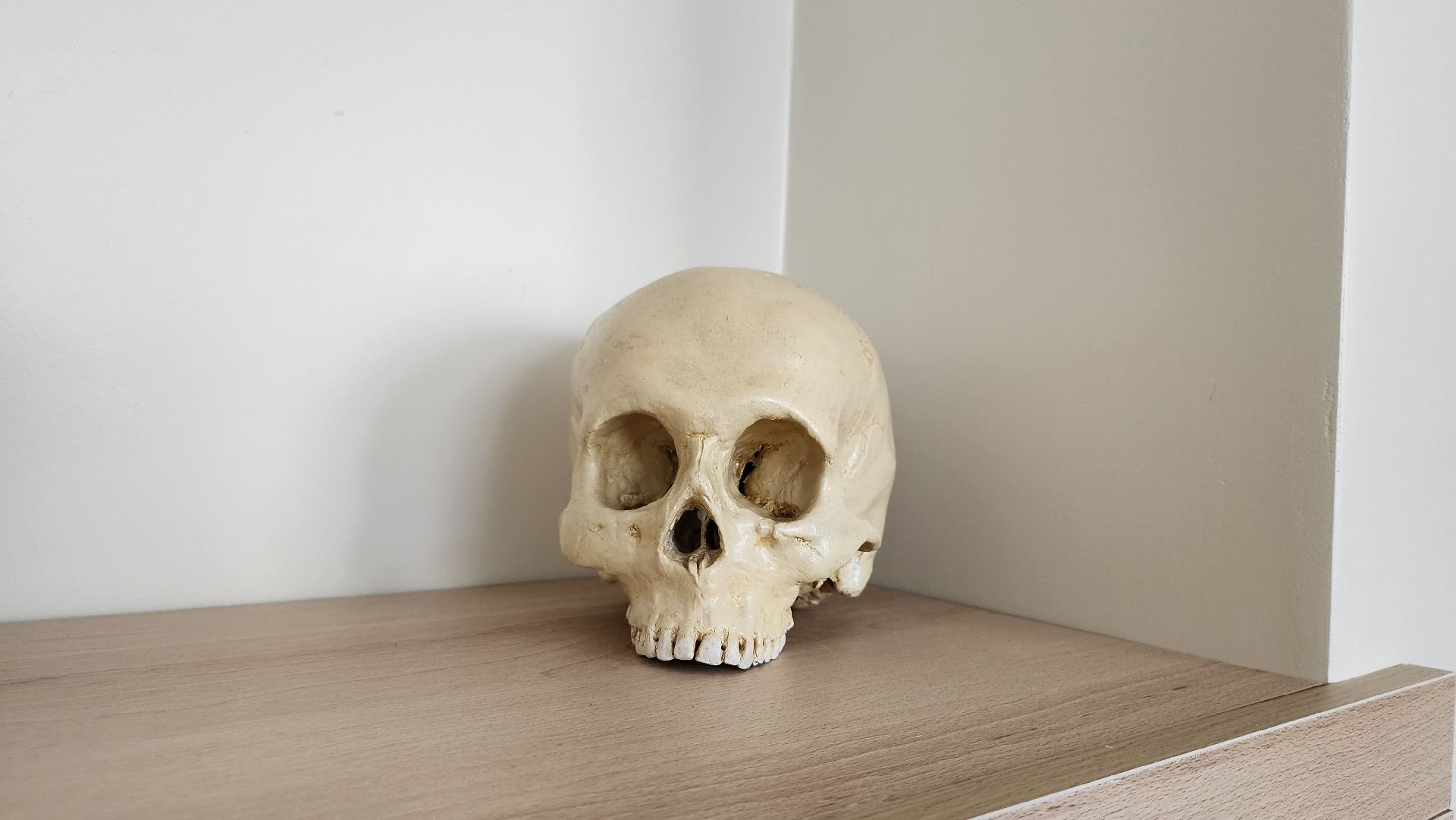 точка роста, образование, обучение, Старая Купавна, Богородский городской округ,