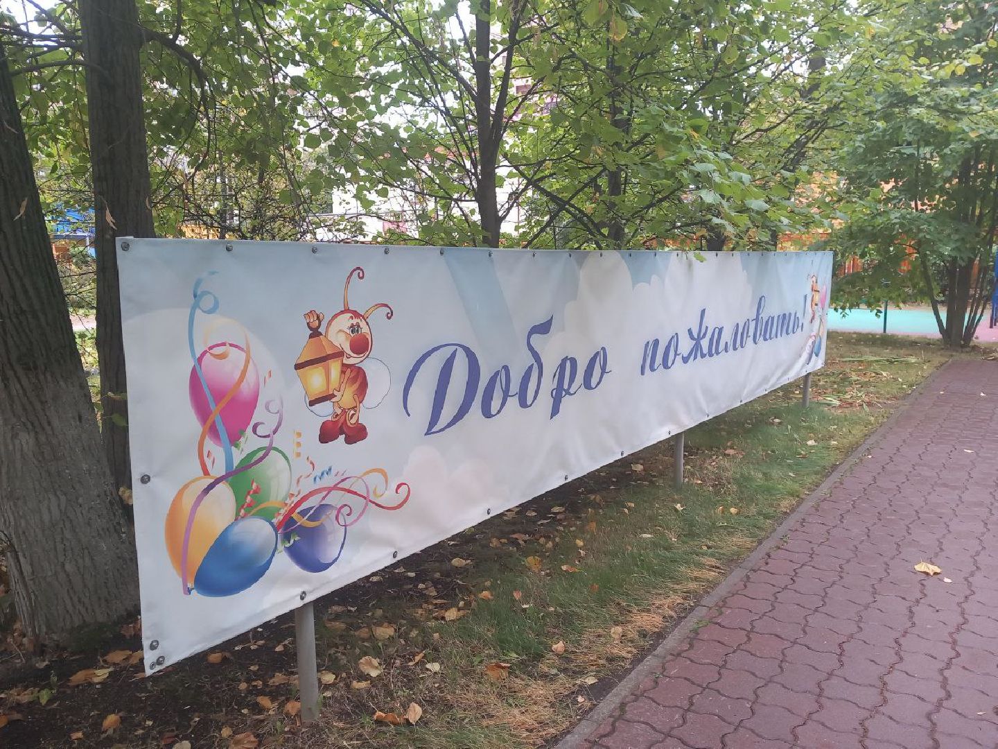 Реутов, детский сад, образование, плавание, ремонт, бассейн, тренировки,