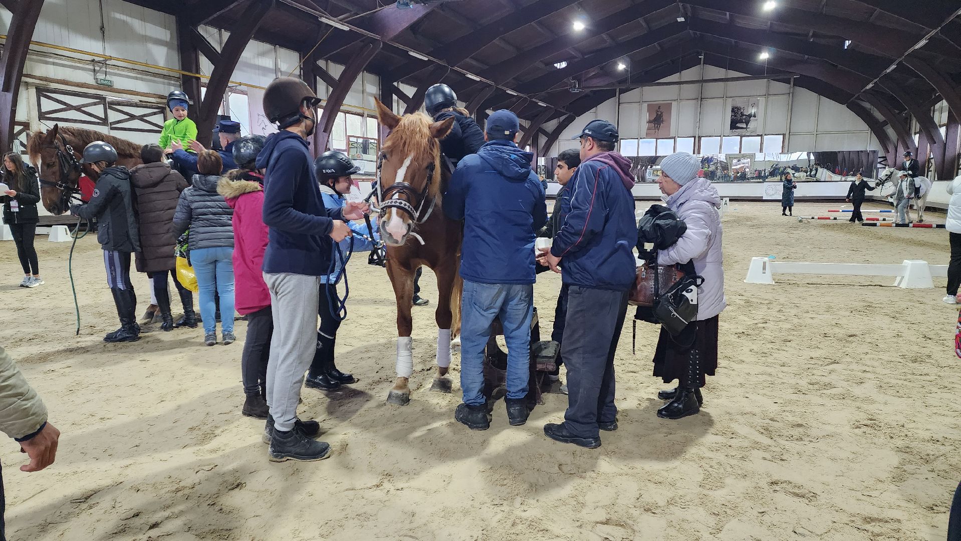 фестиваль, Золотая осень, конный спорт, дети ОВЗ,