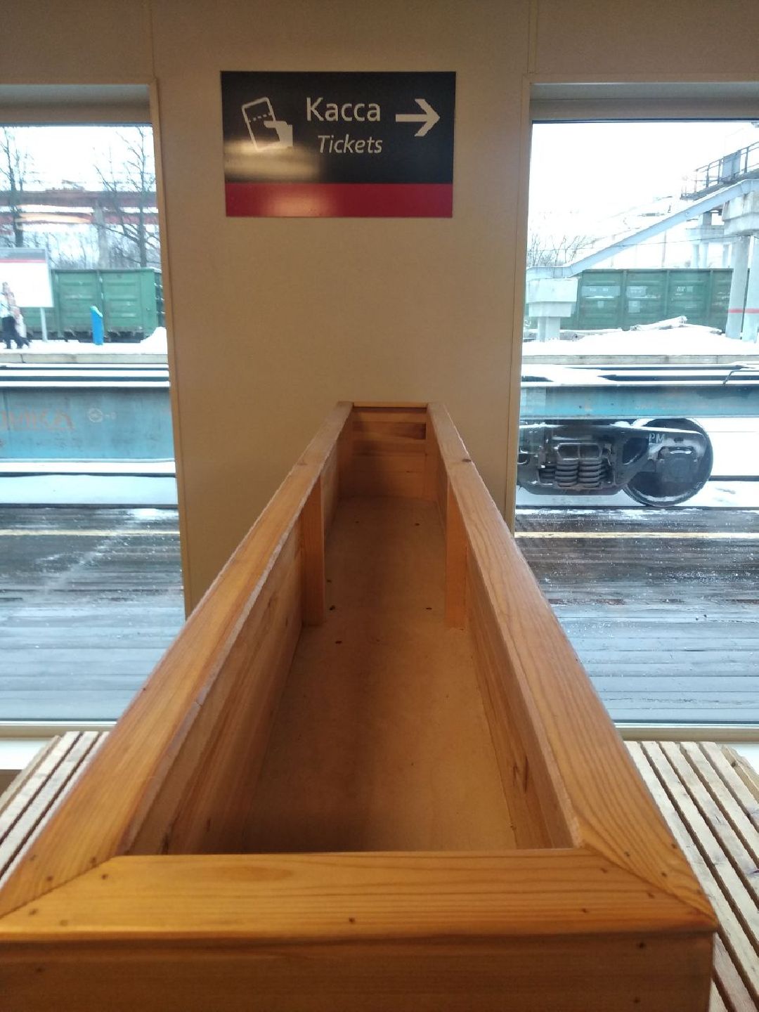 Дмитров, общество