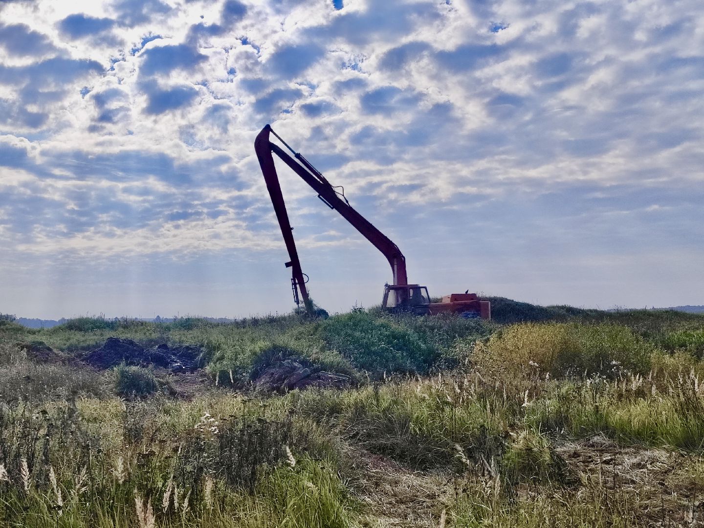 Клин, экономика, общество, сельское хозяйство,