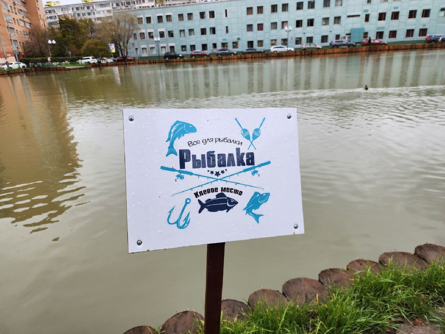 мытищи, Алексеевский пруд, сукромка, рыба, экология, рыбалка,