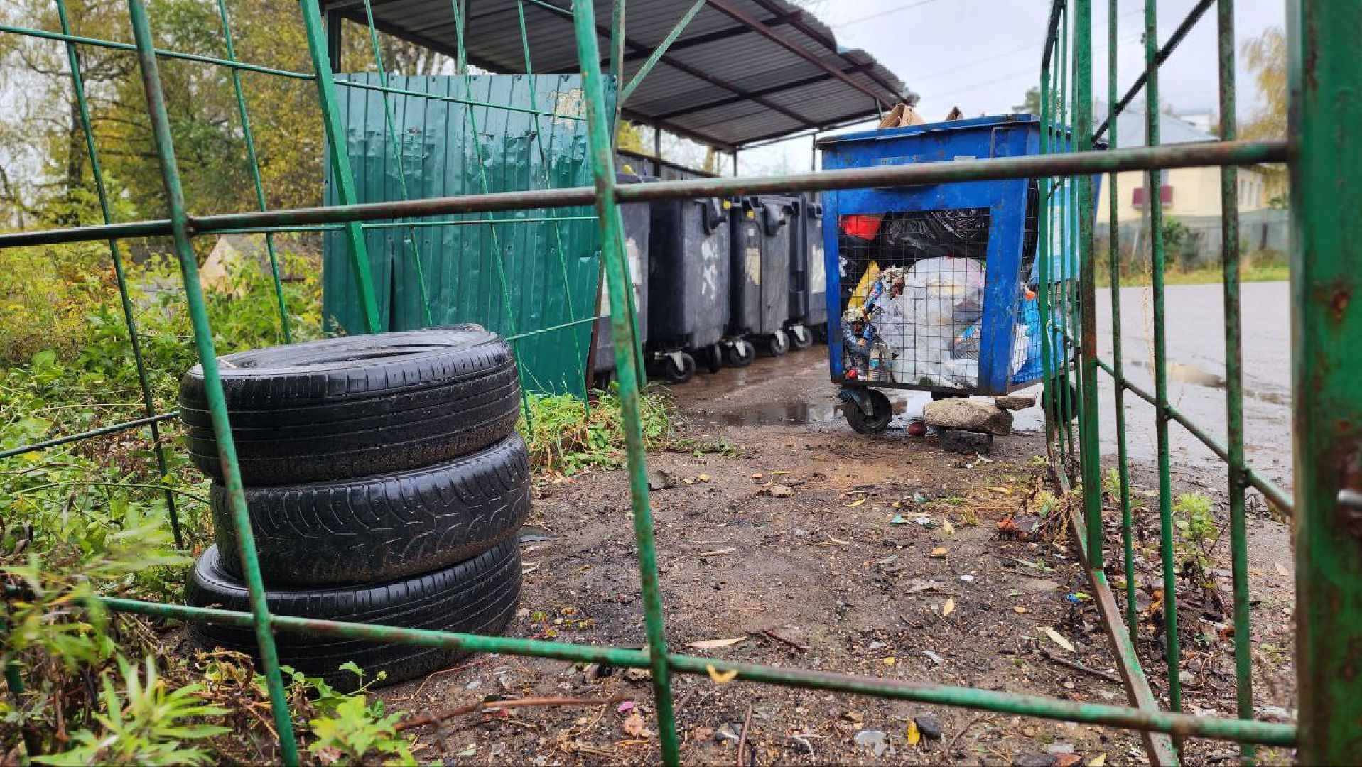 Дмитров, Контейнерные площадки, Минблаго,